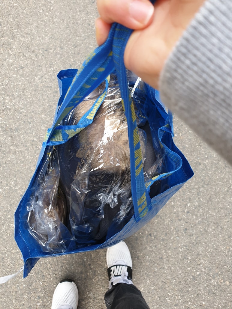 광명세탁소 이미지