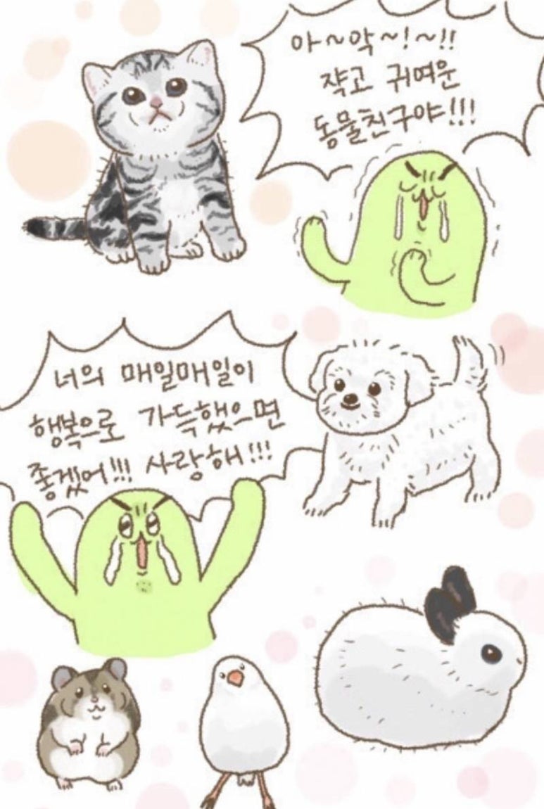 뽀솜이 이미지