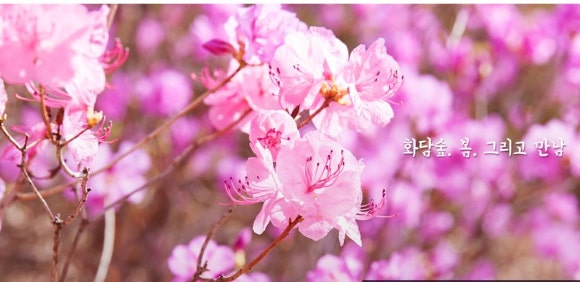화담펜션 이미지