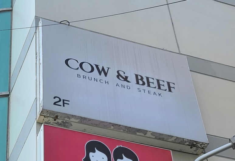 대교미트 이미지