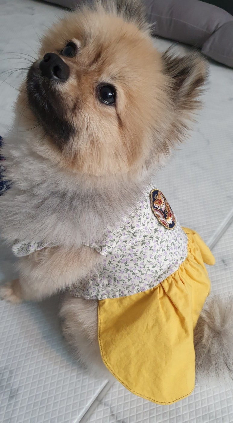 모띠앙 이미지