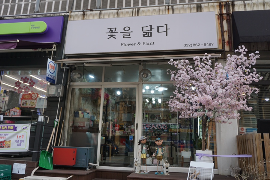 꽃을닮다 이미지