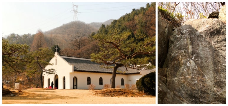 가항국제 이미지