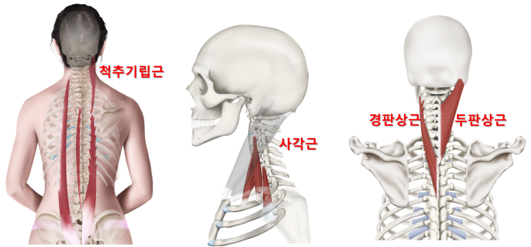 가로세로한의원 이미지