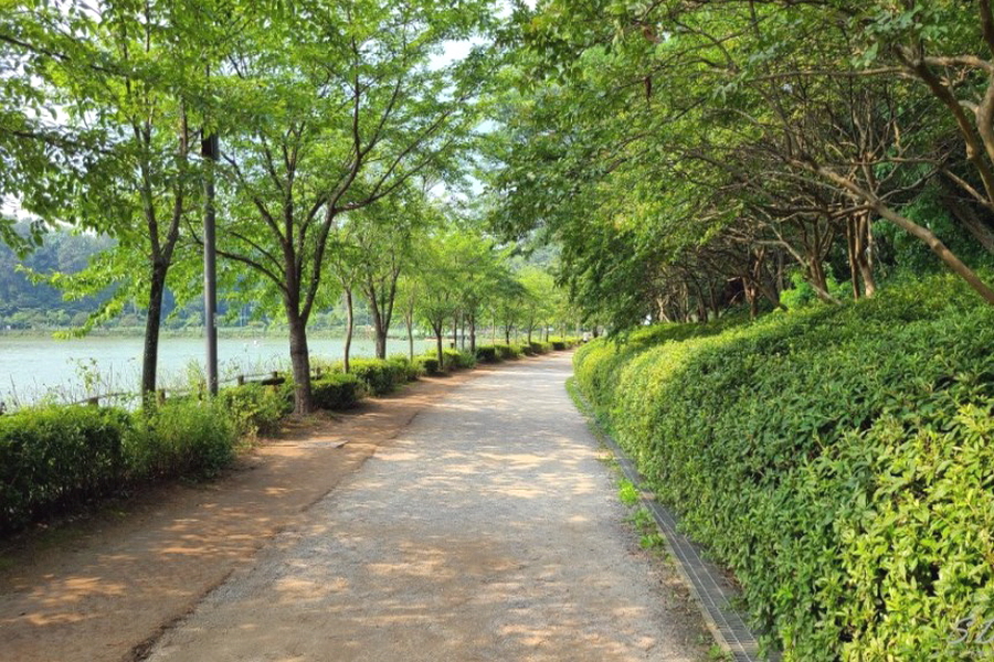 광산꽃화원 이미지