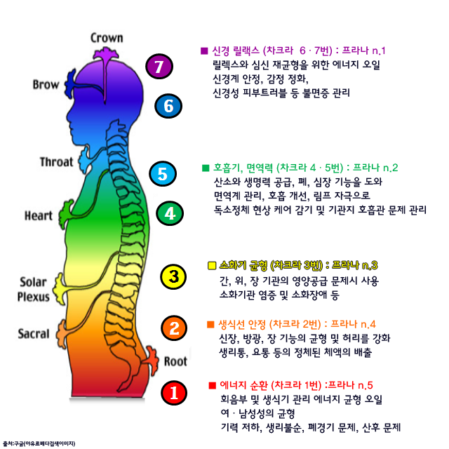 차크라에스테틱 이미지