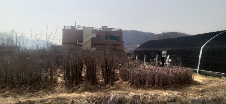 루라정원 이미지