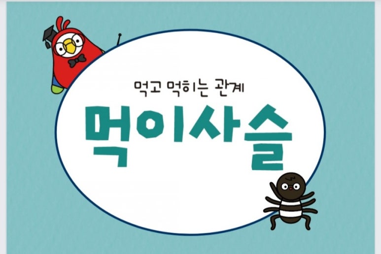 생태계 먹이사슬, 먹이그물 먹이피라미드탐구 : 네이버 블로그