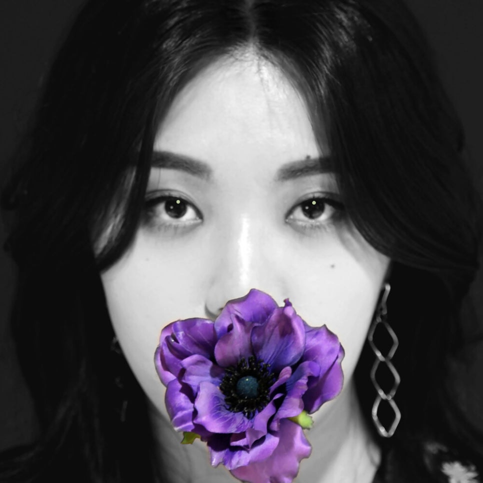 선셋크루즈 이미지