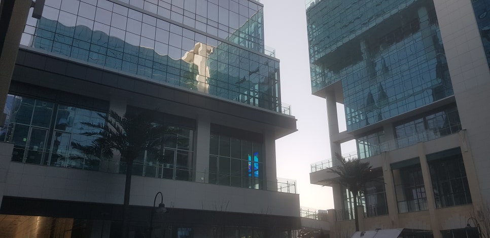 미사청과 이미지
