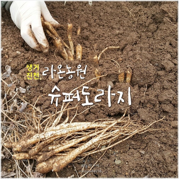 라온농원 이미지