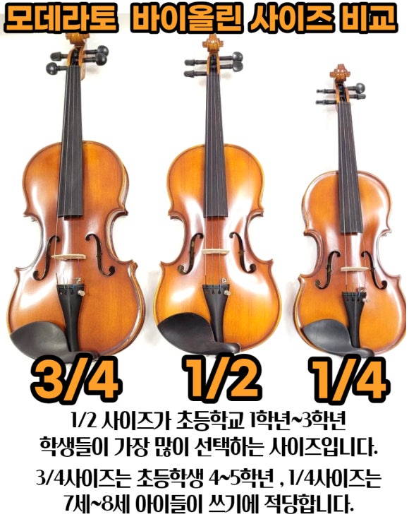 선일악기 이미지