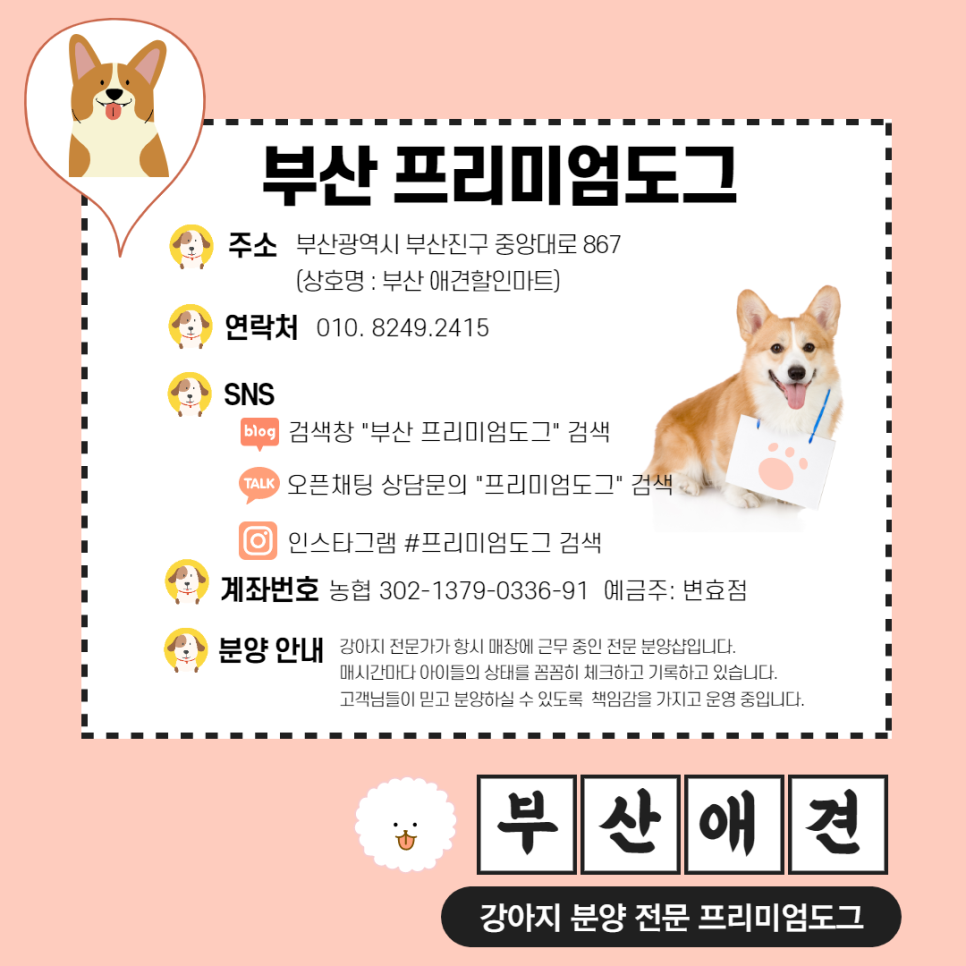 디엠할인마트 이미지