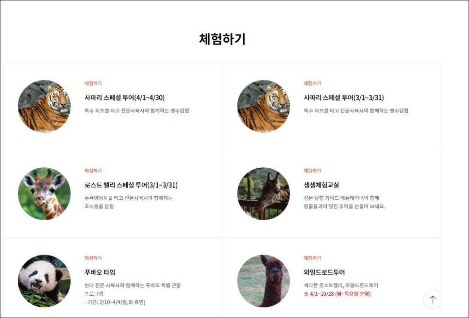 와일드랜드투어 이미지