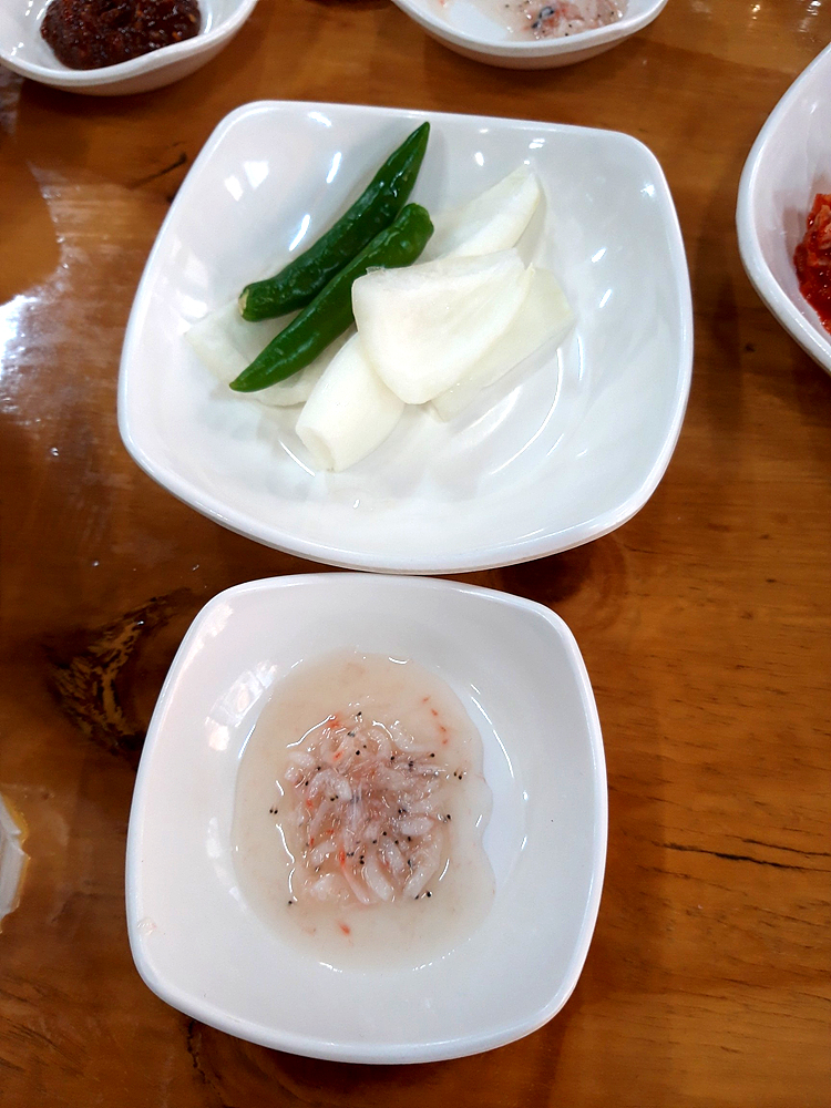 힘센복돼지 이미지