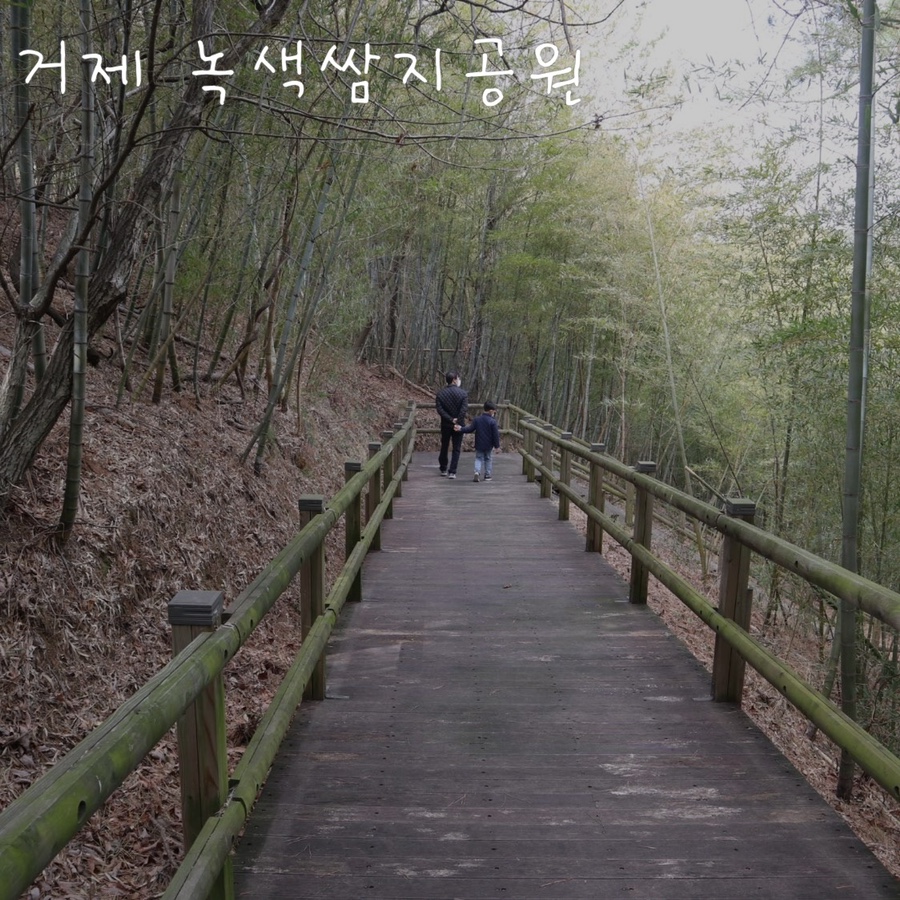 쌈지거제 이미지