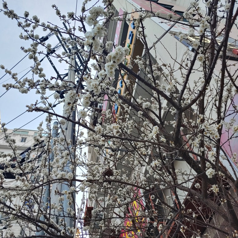 화이트펜슬스터디카페구미 이미지