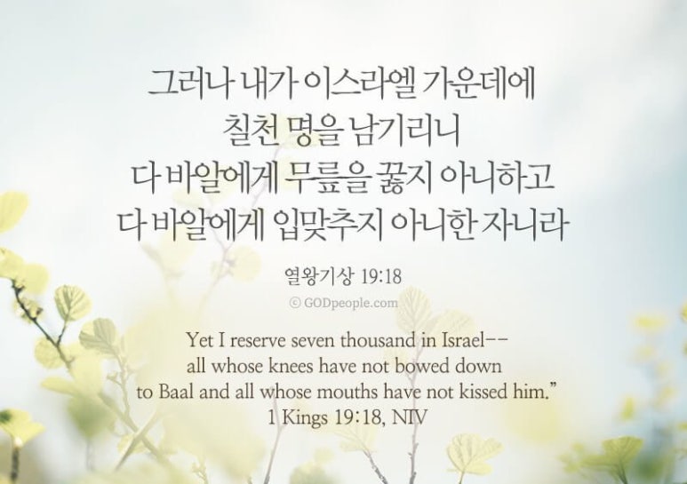 체크롯데월드몰점 이미지
