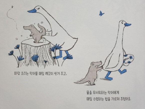 물파랑 이미지
