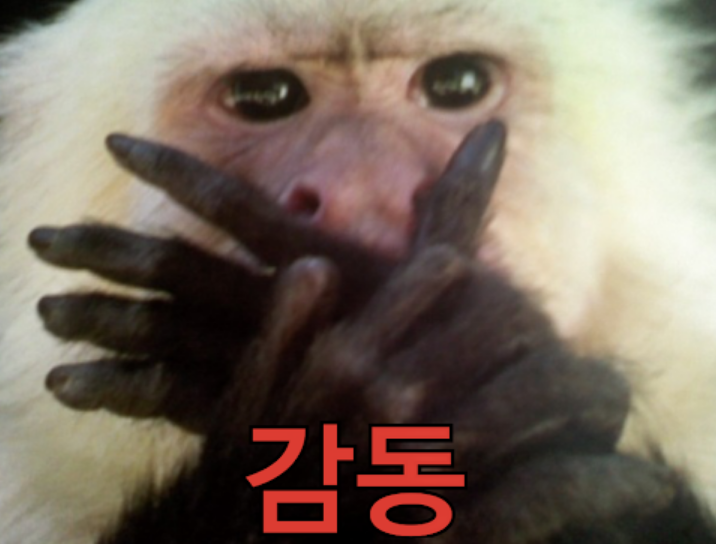 후기두기 이미지