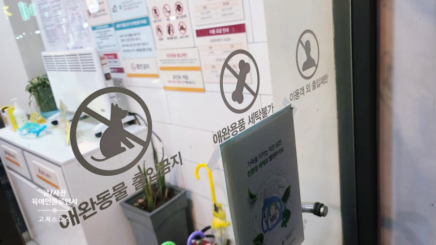 하소세탁 이미지