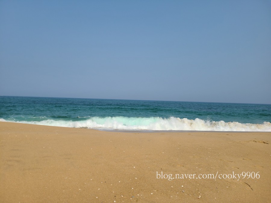 투어카페 이미지