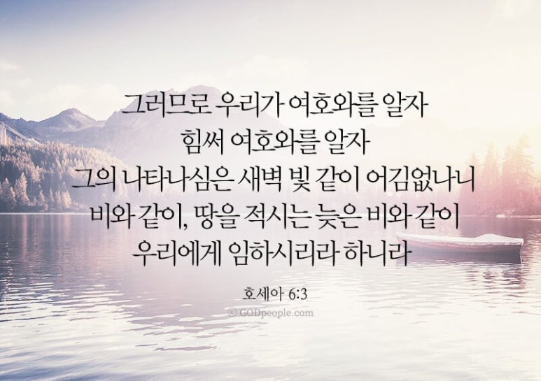 체크롯데월드몰점 이미지