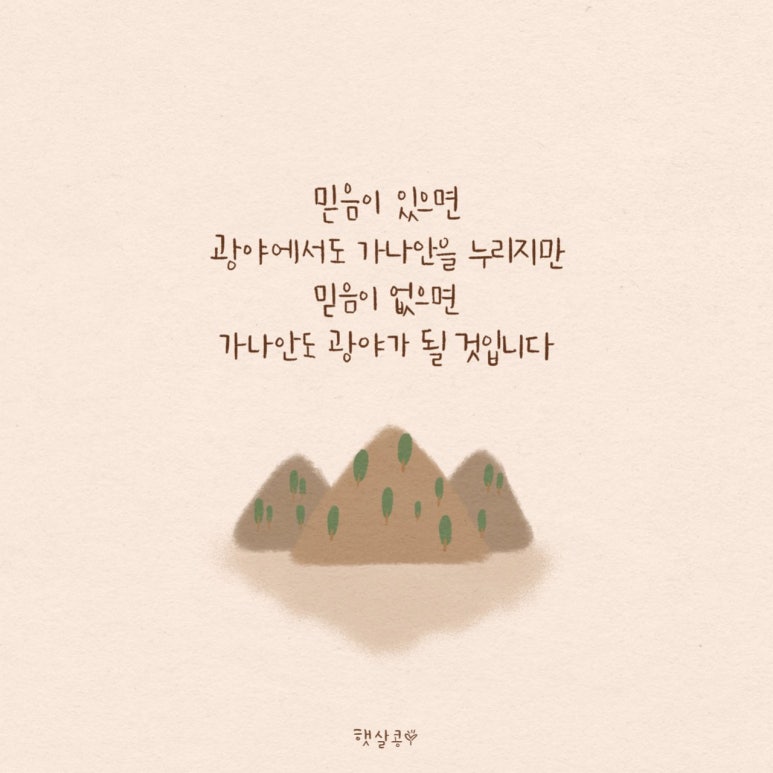 체크롯데월드몰점 이미지