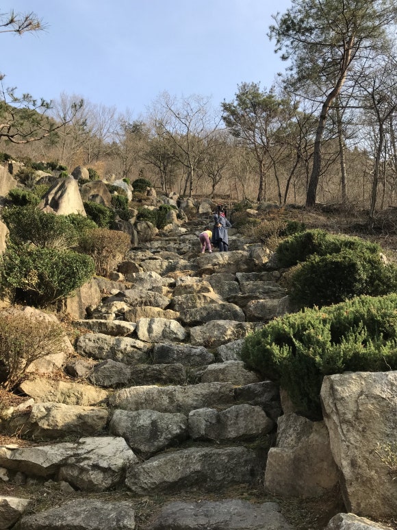 고산자연휴양림 이미지