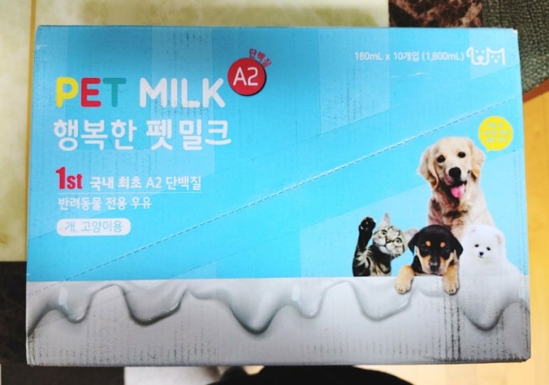 주식회사 좋은날 이미지