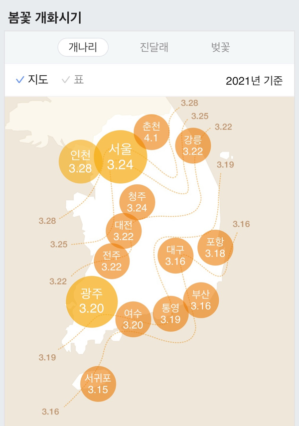 진달래패션 이미지