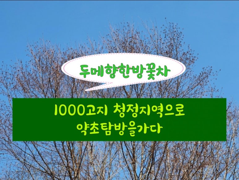 두메향한방꽃차 농업회사법인주식회사 이미지