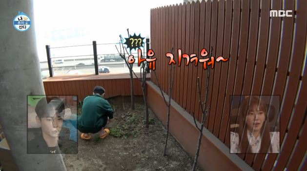 대현캠핑장 이미지