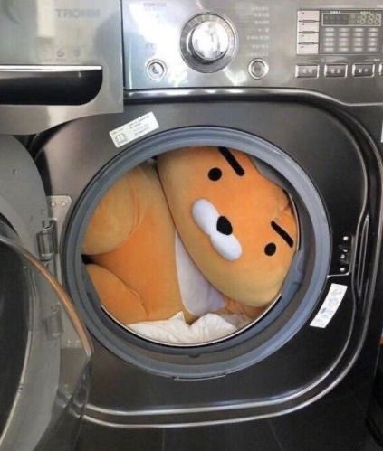 핍핍 이미지