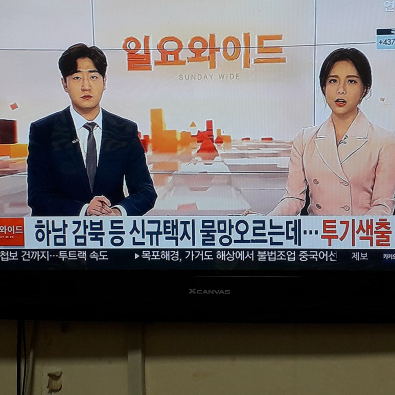 천지삐깔 이미지