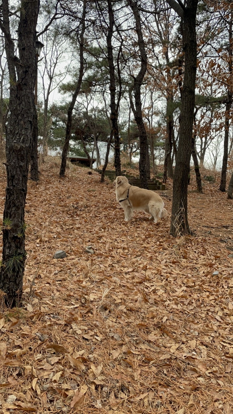 이곡생수공원 이미지