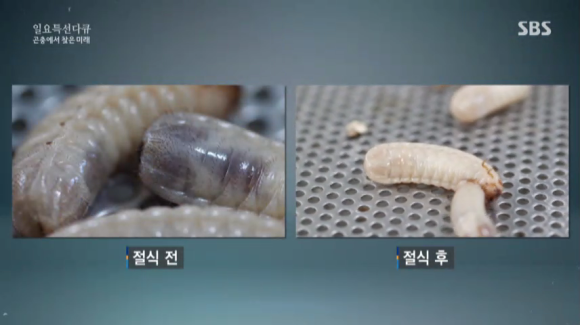 굼찬농장 이미지