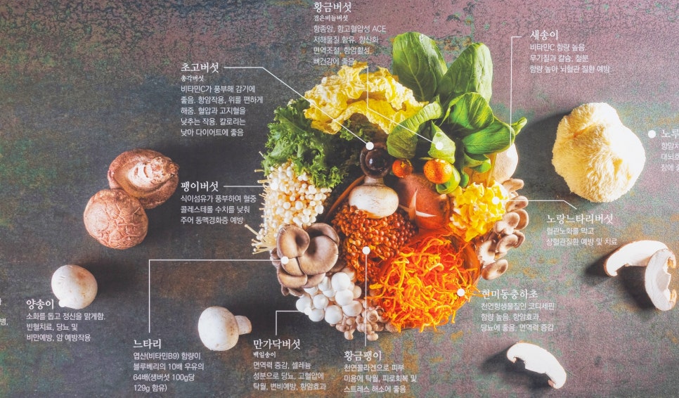 정성기획 이미지