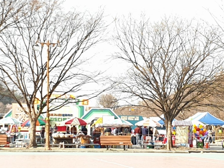제일바둑학원 이미지