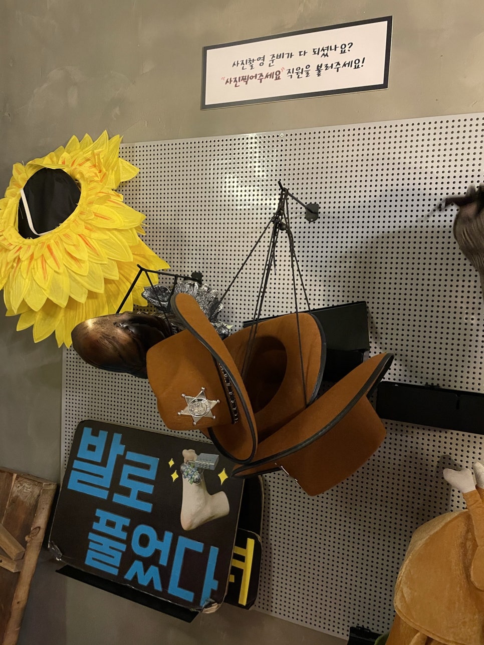 카페앨리스 이미지