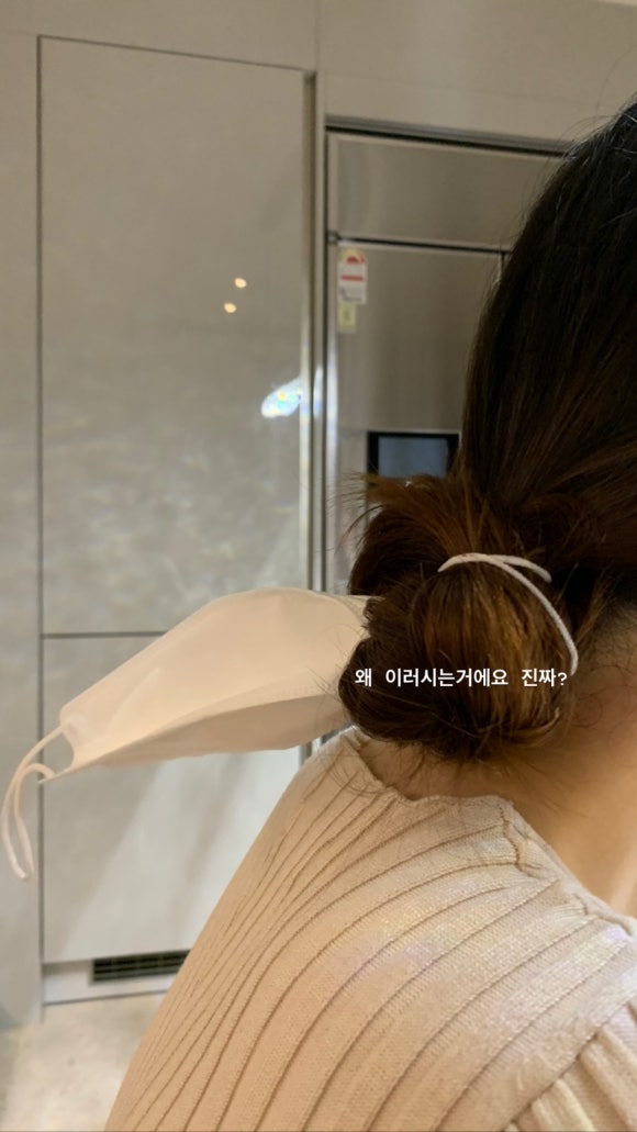 팽미 이미지