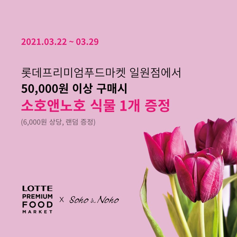 롯데프리미엄 푸드마켓 일원점 이미지