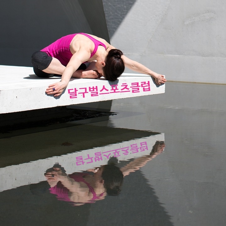 달구벌스포츠클럽 이미지