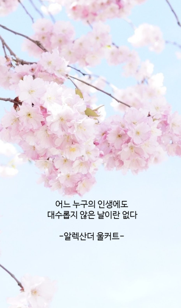 인생커트# 이미지