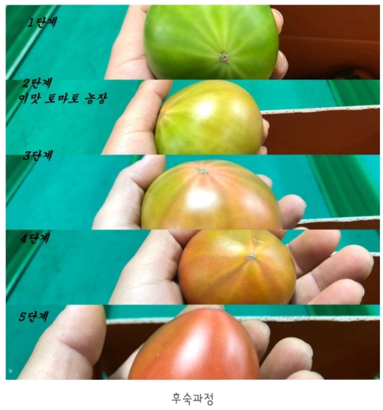이맛유통 이미지