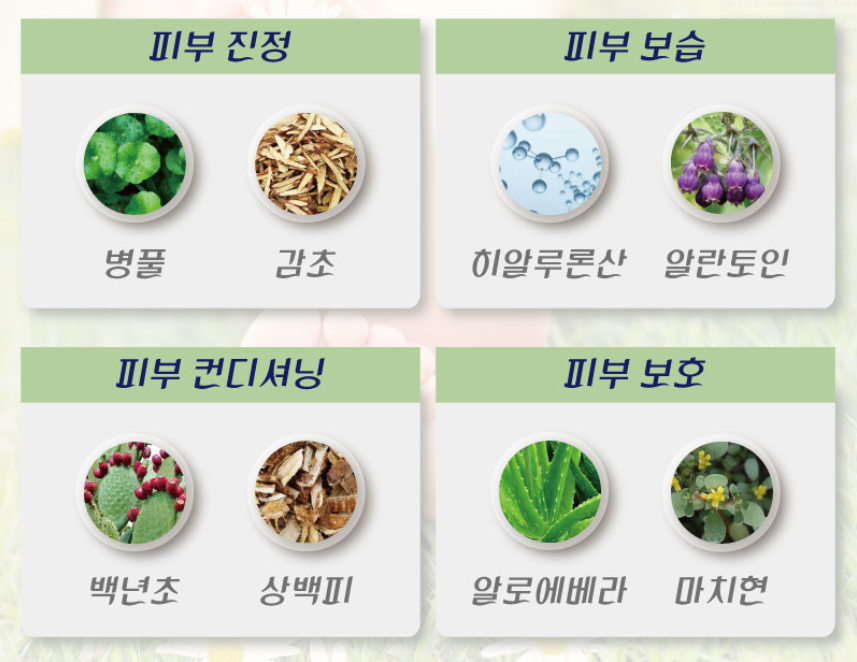 코스마인 이미지