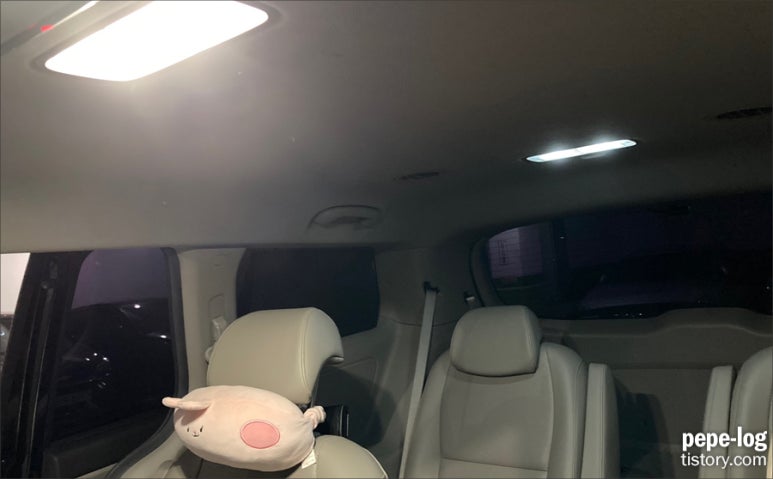 더반디 이미지