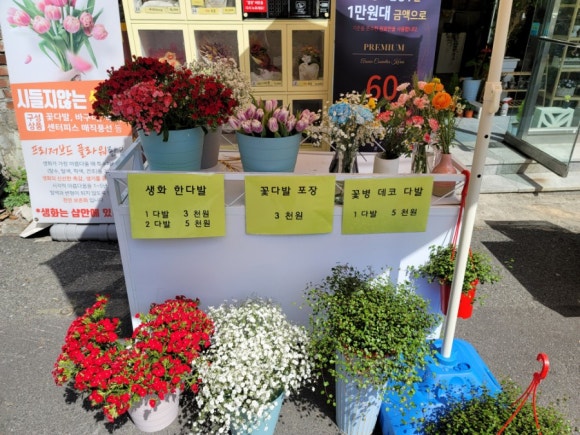채움아트꽃방 이미지