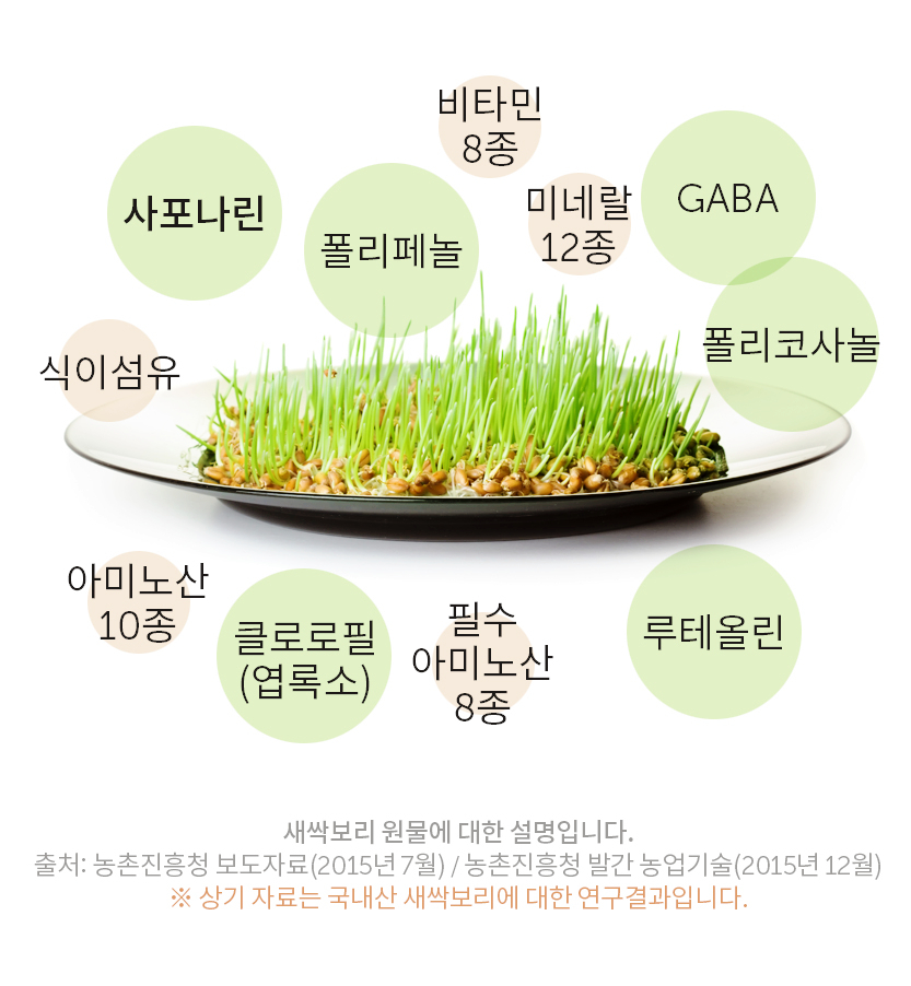 새싹녹즙 이미지
