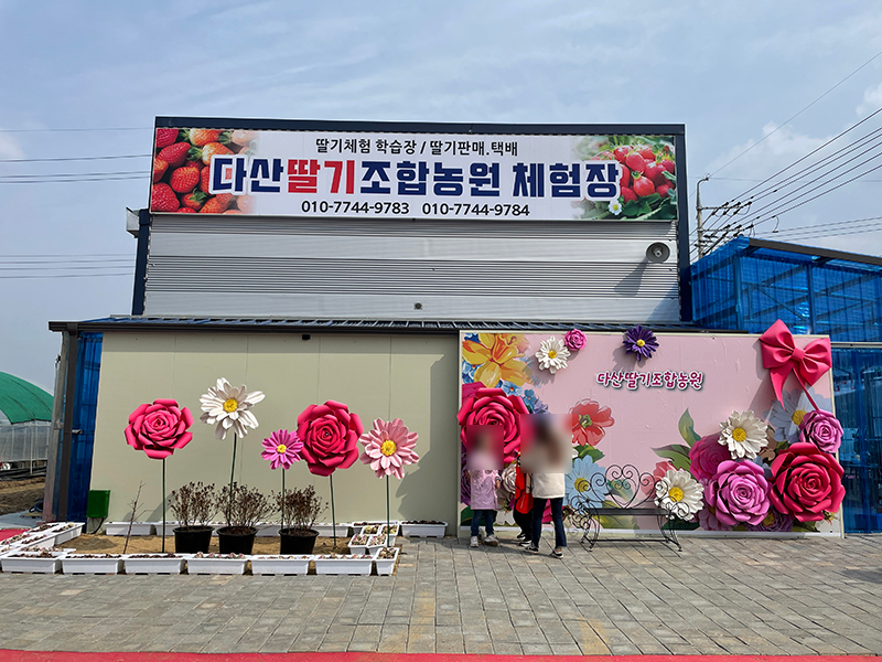 다산딸기수출 이미지